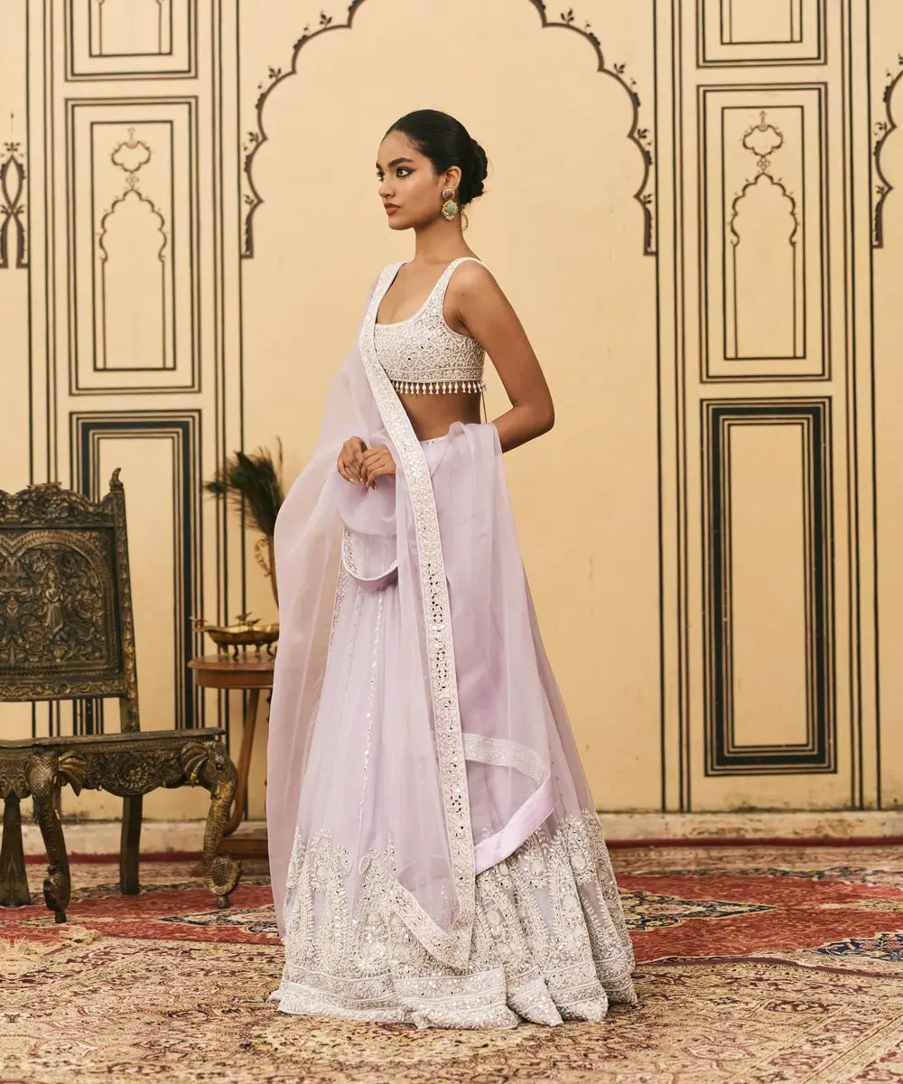 Baingani Organza Lehenga Set
