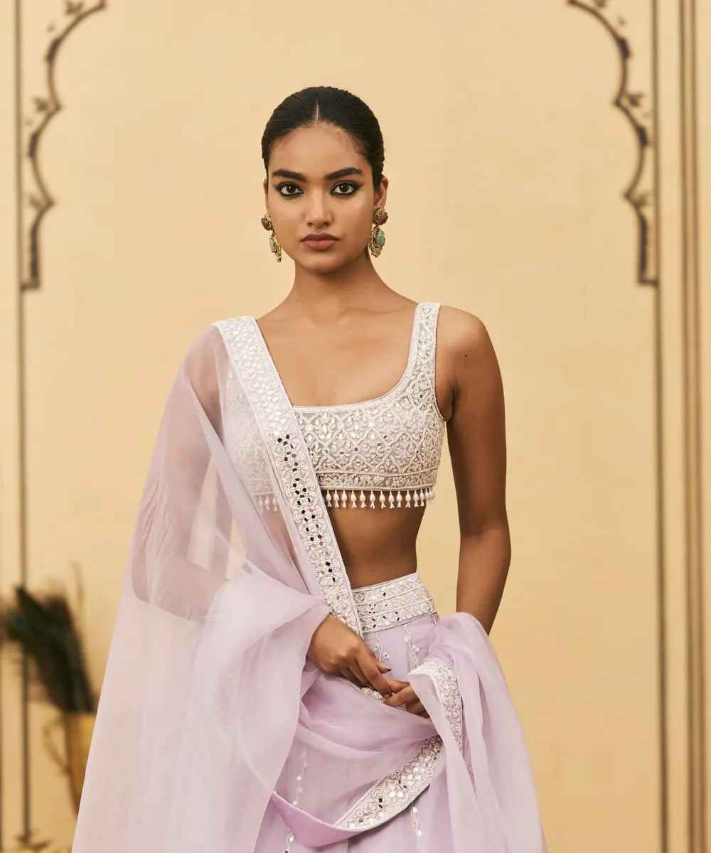 Baingani Organza Lehenga Set