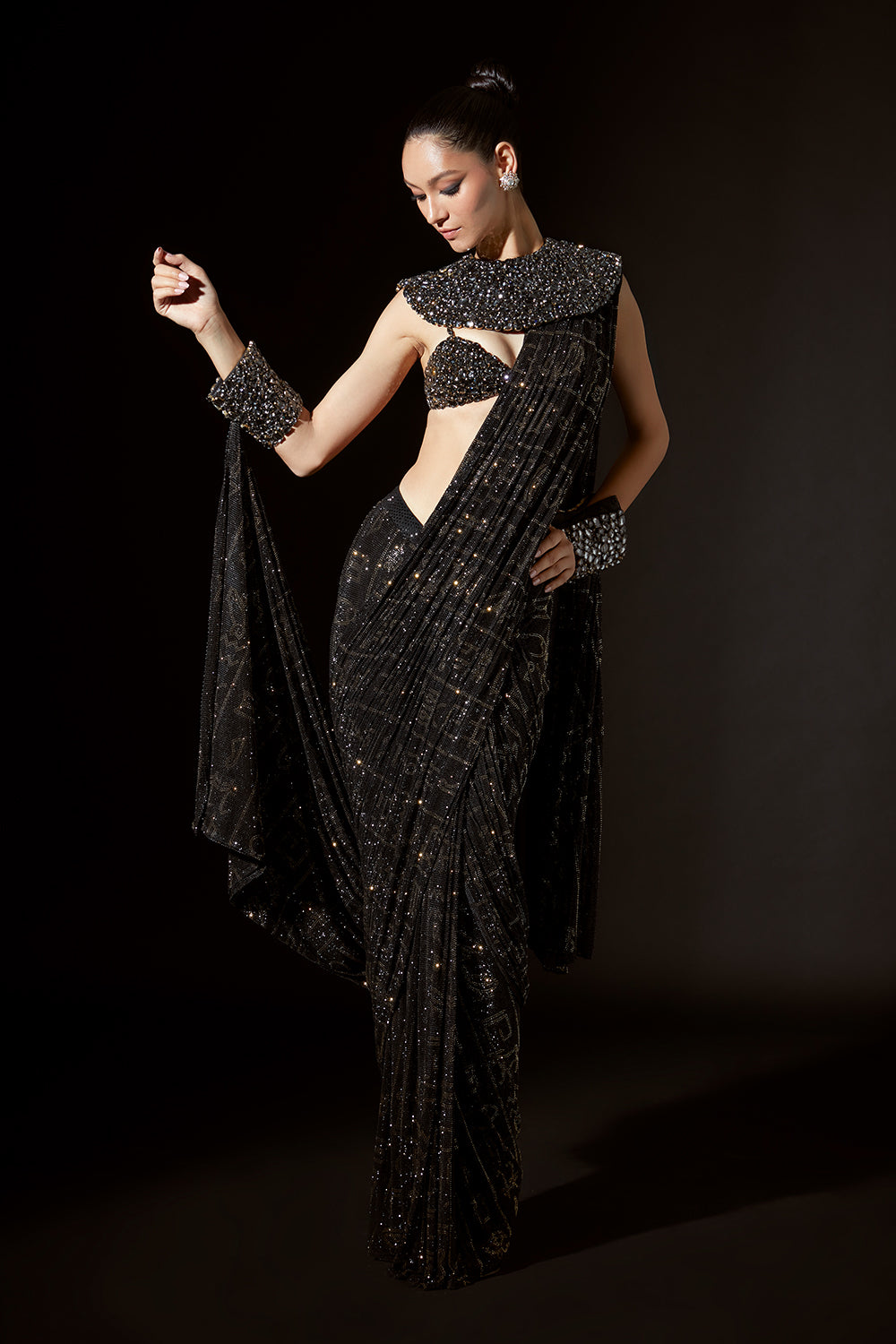 Hieroglyphic Whimsy Saree