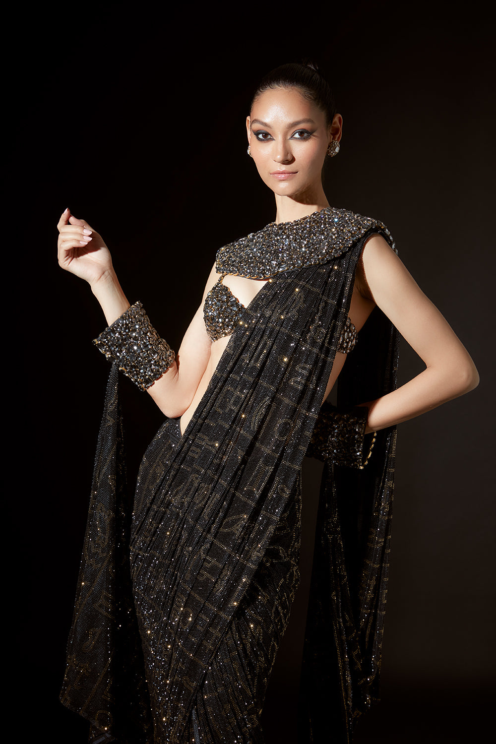 Hieroglyphic Whimsy Saree