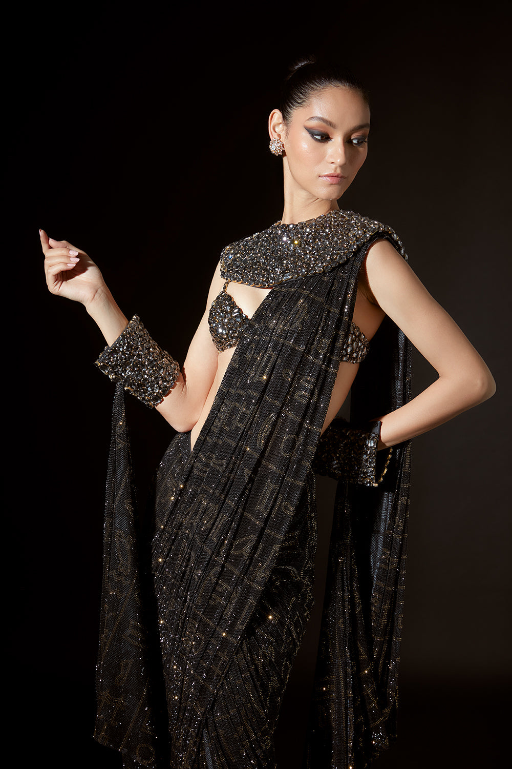 Hieroglyphic Whimsy Saree